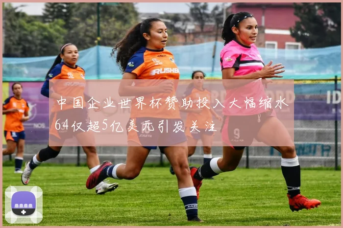 中国企业世界杯赞助投入大幅缩水64仅超5亿美元引发关注
